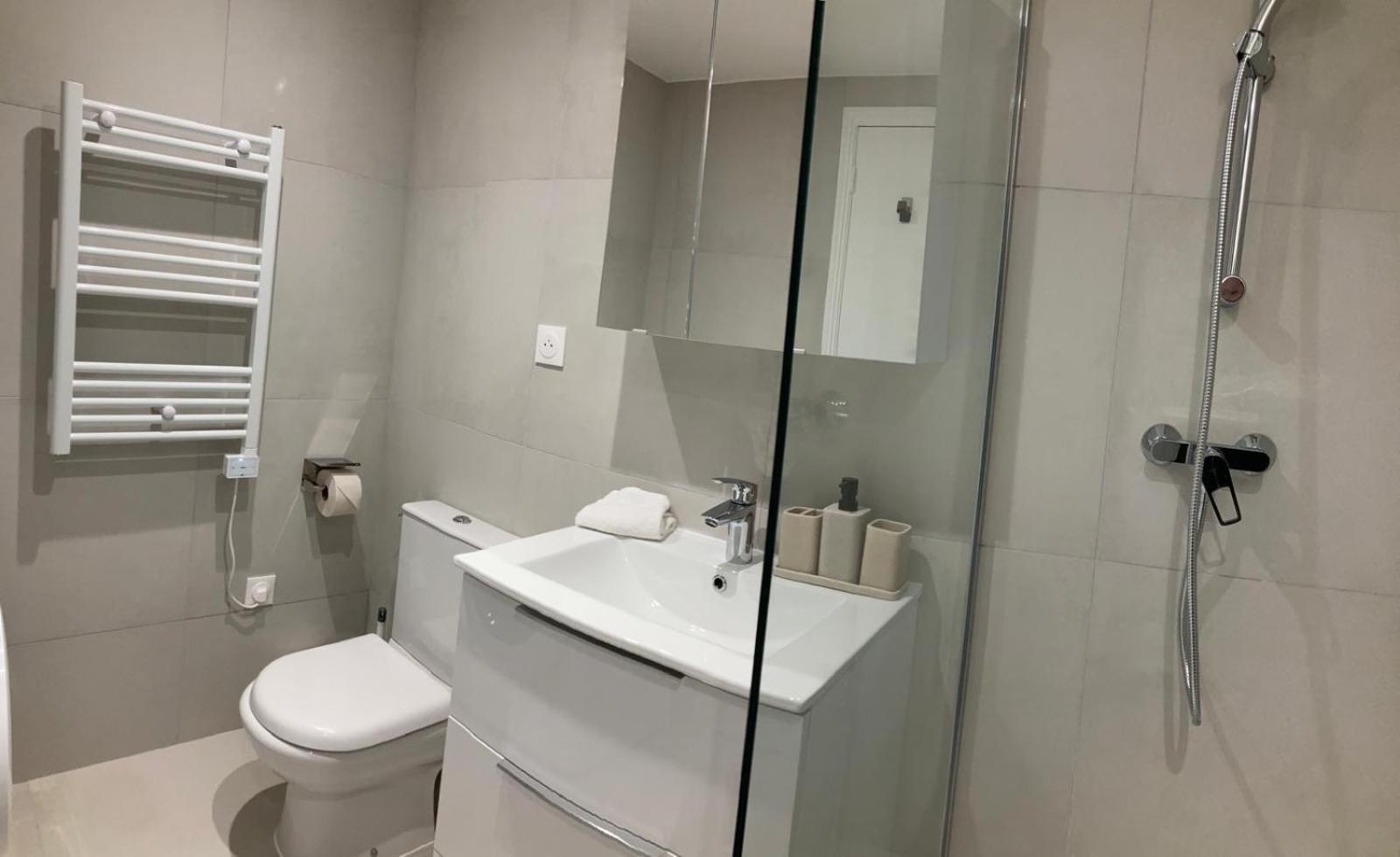 Apartment Grand Hyper Centre Avec Balcon Refait Mars 2025